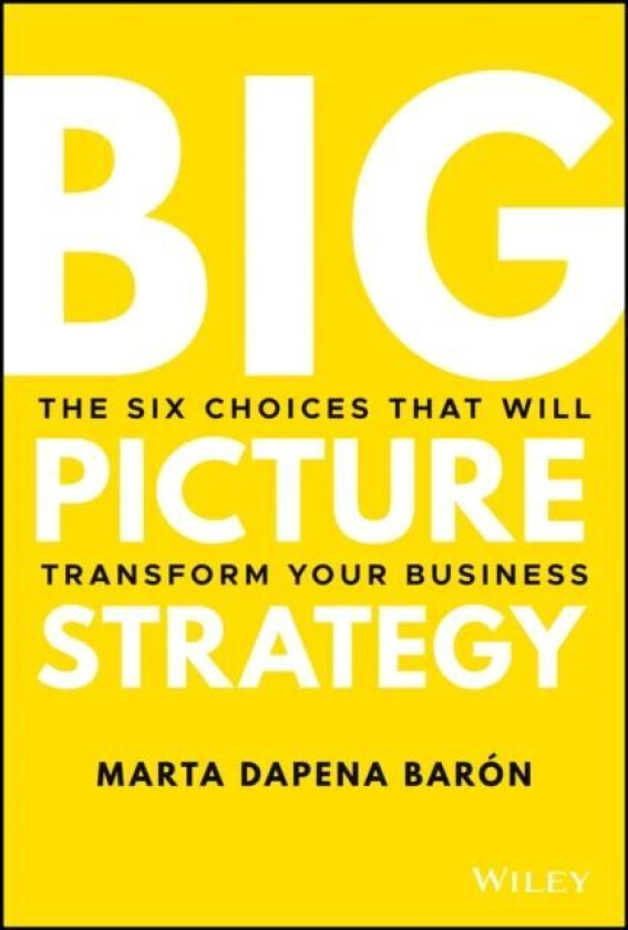 Big Picture Strategy av Marta Dapena Baron