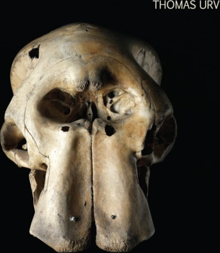 Thomas Urv O Sweet Exorcism LP/Vinyl