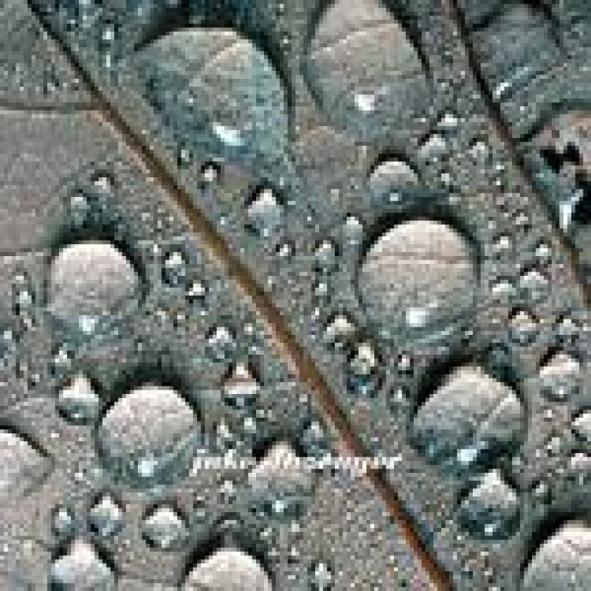 Jake Slazenger Nautilus CD