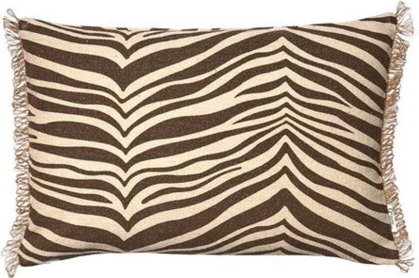 Zebra pute brun