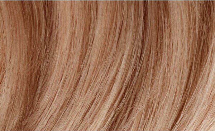 Dénuée OTC 8.32 Light Blonde Golden Iridescent