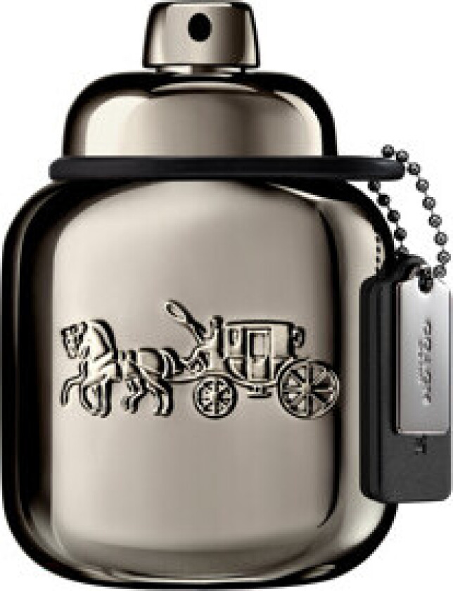 Pure Platinum - Parfum 40 ml