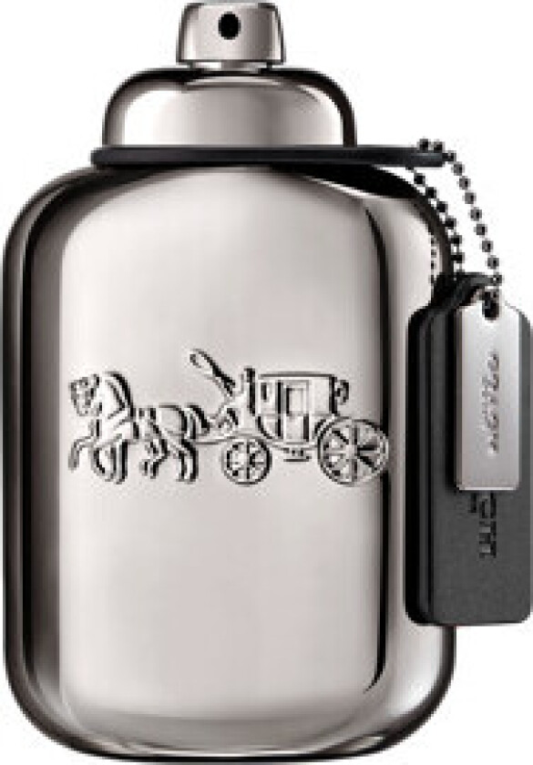 Pure Platinum - Parfum 100 ml