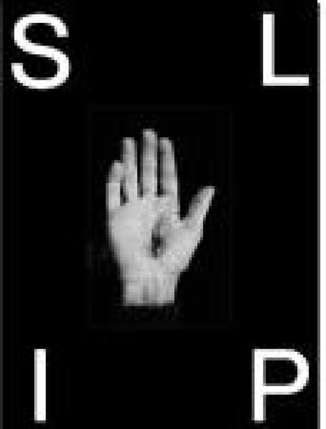 SLIP Asbjørn Sand, Nikolaj Zeuthen Språk: Engelsk