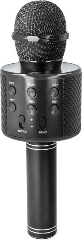 BMS-300 Karaoke Mikrofon med Høyttaler - Svart