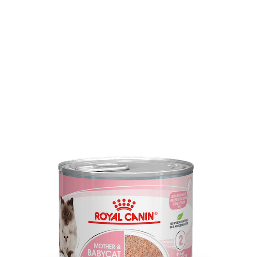 Royal Canin Mother & Babycat Starter Mousse (195 g)