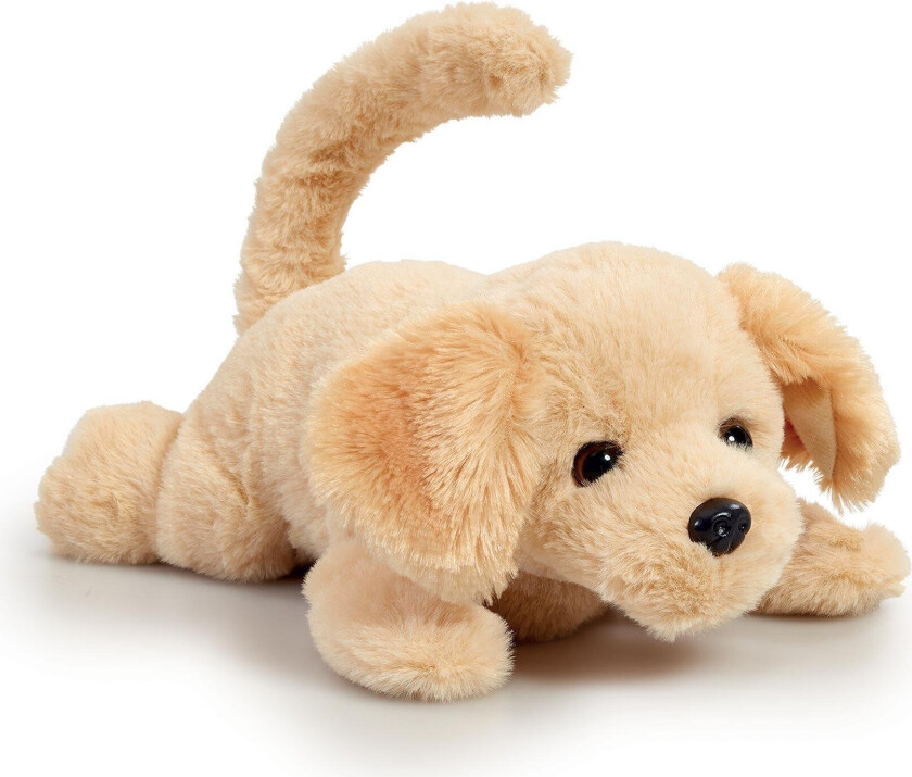 HAPPY PETS - Roll Over Puppy (31511178)