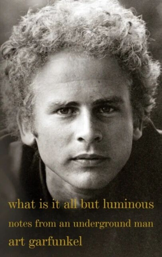What Is It All but Luminous av Art Garfunkel