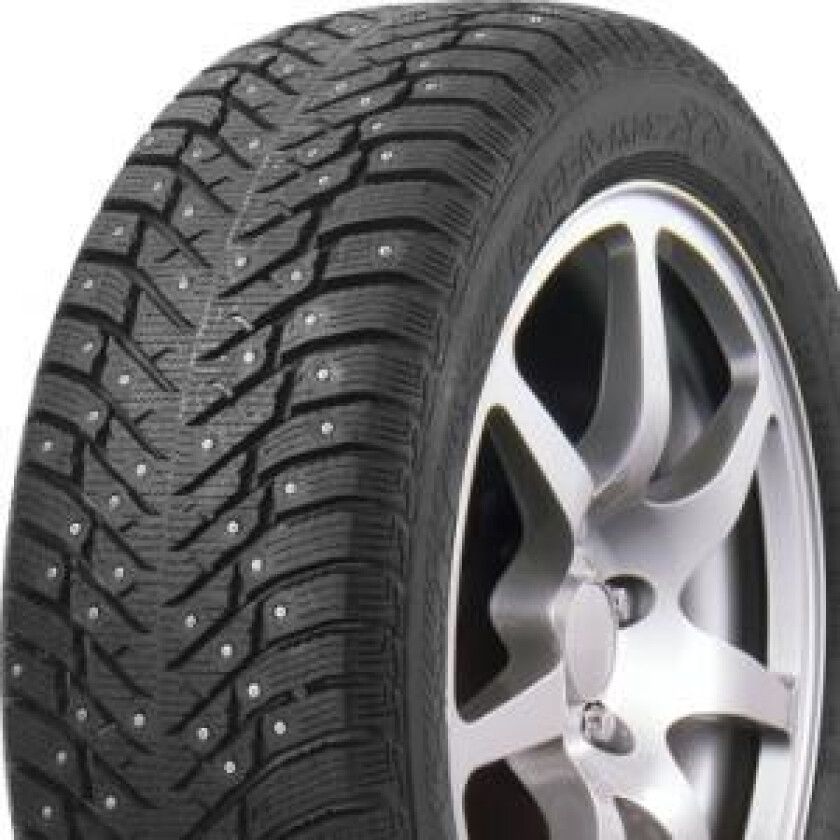 Winter Grip 2 252 - 215/55R17 - Vinterdekk - Piggdekk