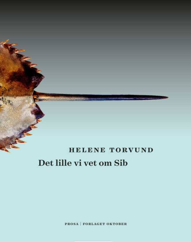 Det lille vi vet om Sib av Helene Torvund
