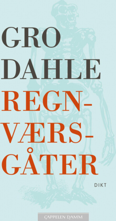 Regnværsgåter av Gro Dahle