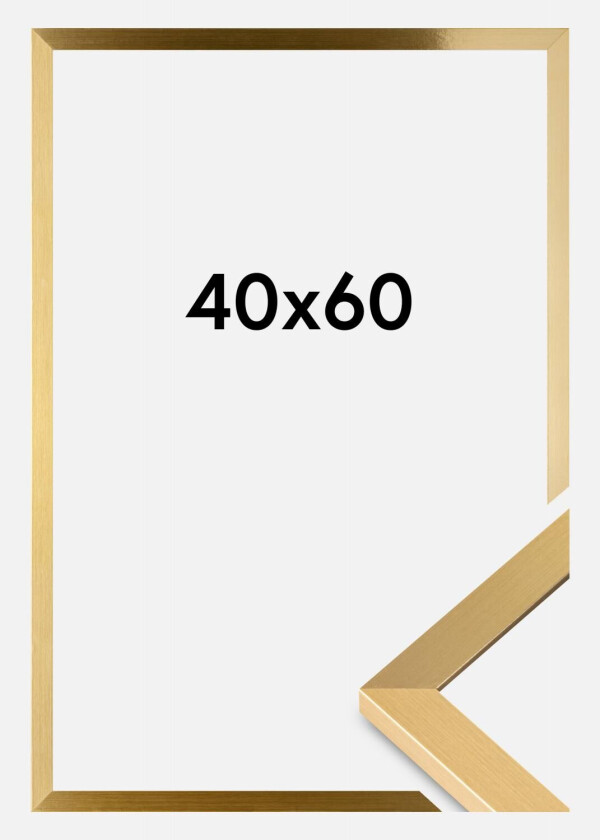 Ramme Selection Akrylglass Gull 40x60 Cm