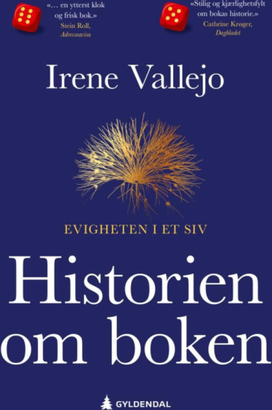 Historien om boken av Irene Vallejo