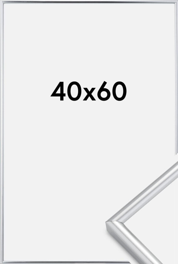 Ramme Galeria Sølv 40x60 Cm