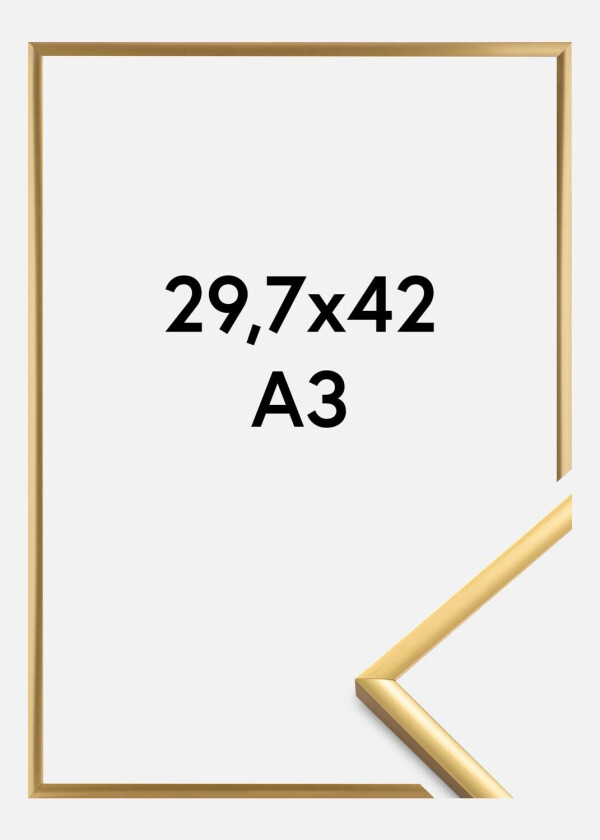 Ramme New Lifestyle Akrylglass Shiny Gold 29,7x42 Cm (A3)