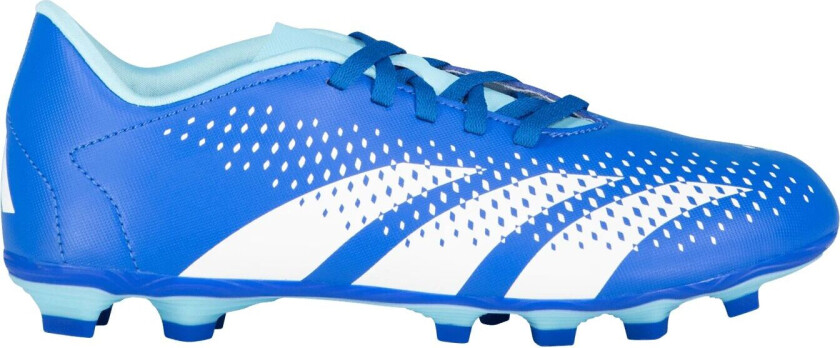 adidas Predator Accuracy.4 FxG Jr / Q4 23, fotballsko gress, grus og kunstgress, unisex Bright Royal/ftwr Wh