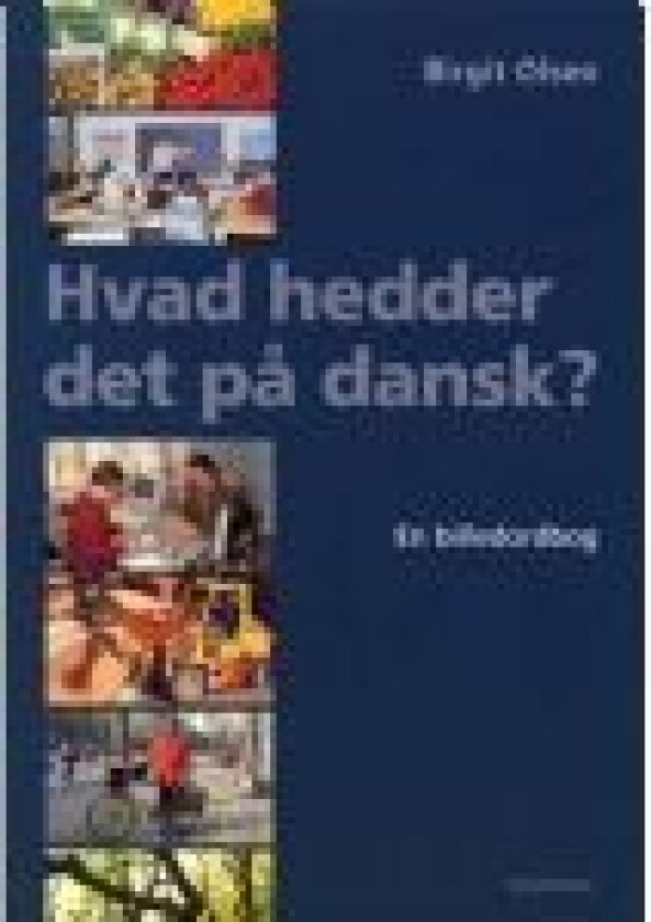 Hvad hedder det på dansk? Birgit Olsen Språk: Dansk