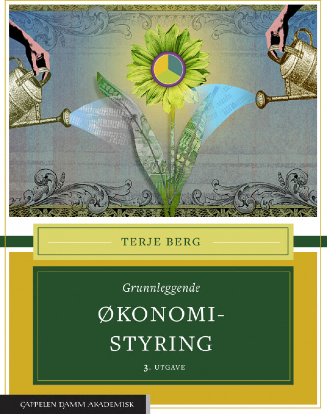 Grunnleggende økonomistyring av Terje Berg