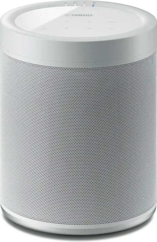 Musiccast 20 White