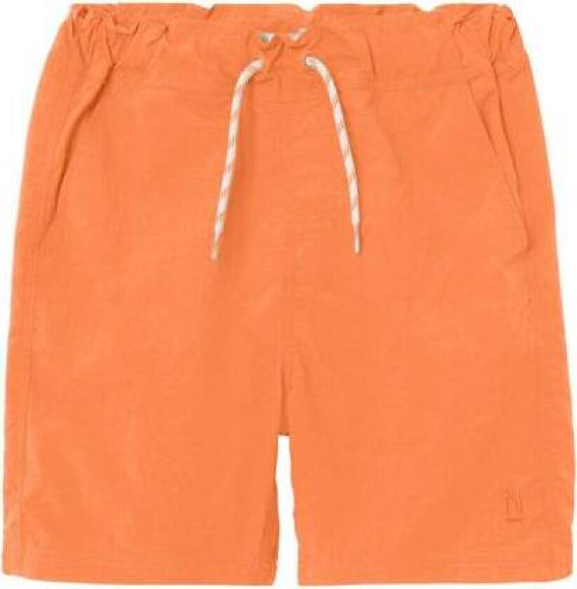 Name It Zakro Badeshorts Til Barn, Bird Of Paradise