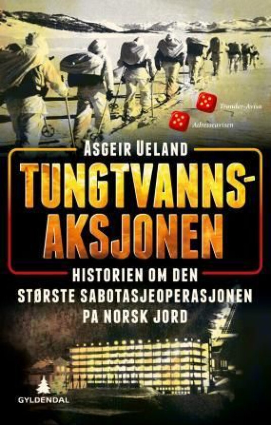 Tungtvannsaksjonen av Asgeir Ueland