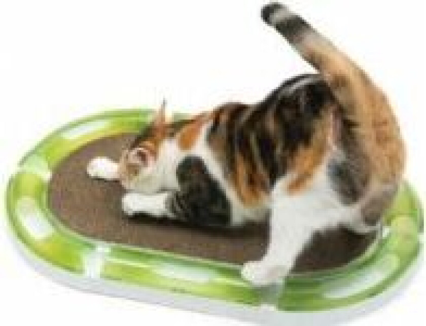 Bilde av Senses 2.0 Oval Scratcher, papp, for -baner