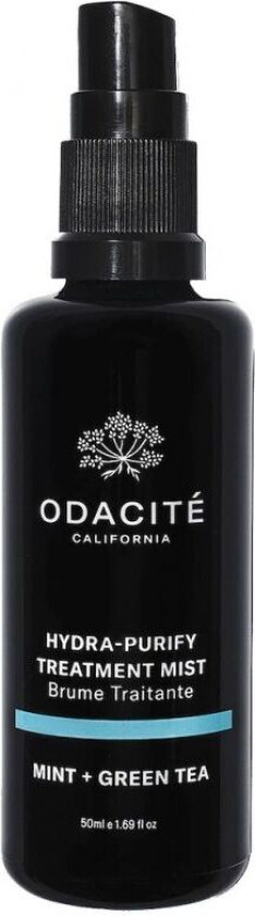 Bilde av Hydra Mist Purify Mint + Green Tea Treatment Mist (50ml)