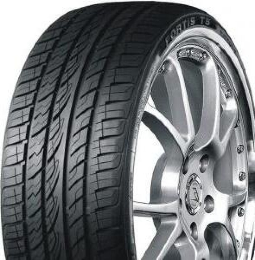 Fortis T5 - 285/30R22 - Sommerdekk