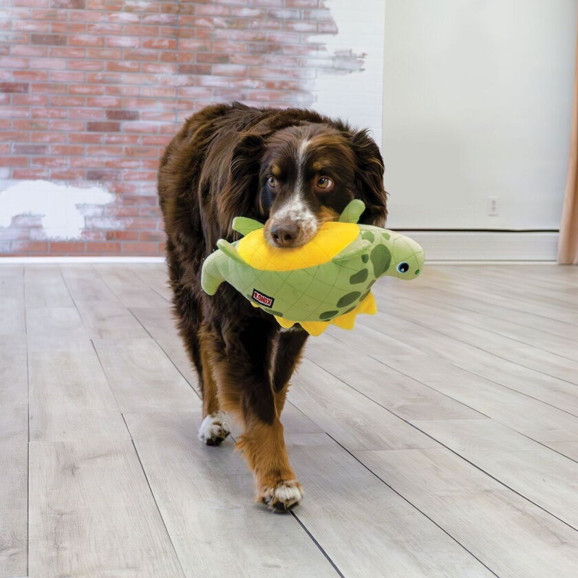 KONG Dynos Roars Mykdyr til Hund Dinosaur Grønn M/L