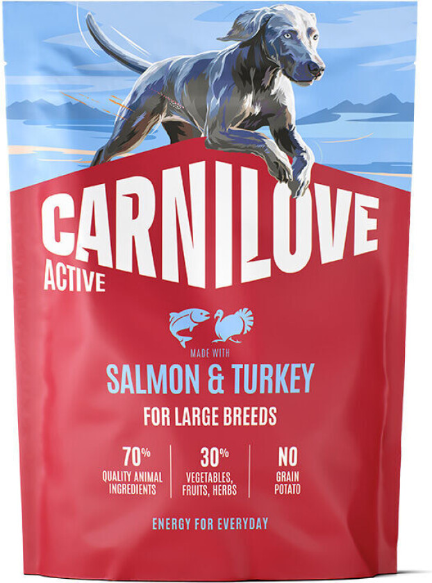 Dog Adult Active Large Breed Salmon & Turkey Tørrfôr til Hund