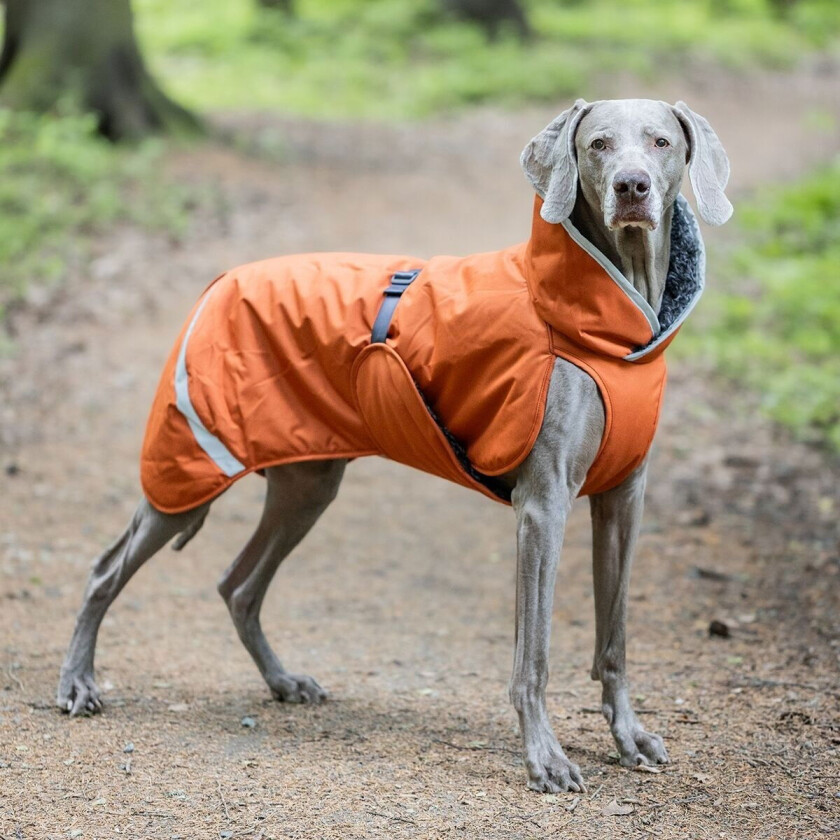 Toppa Vinterdekken Hund Rust