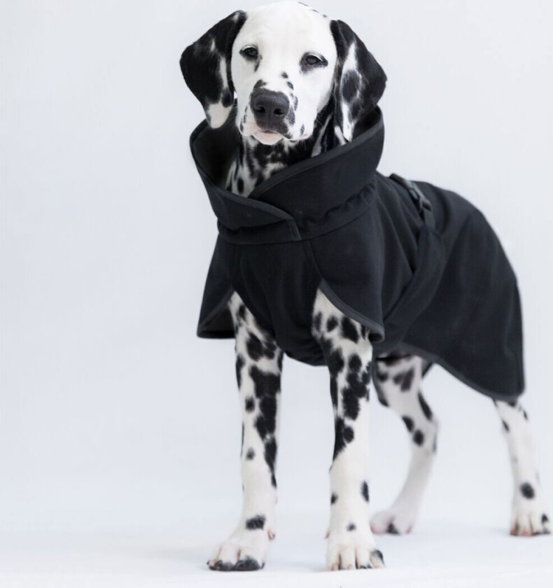 Recovery Softshell Hundjacka Svart