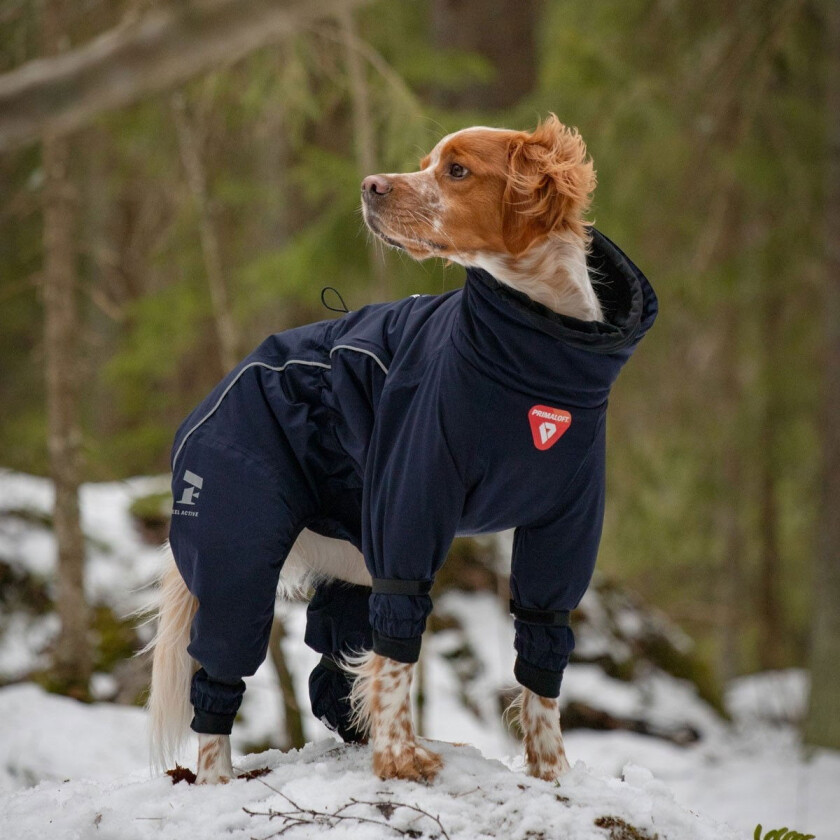 Snow Vinteroverall, Blå
