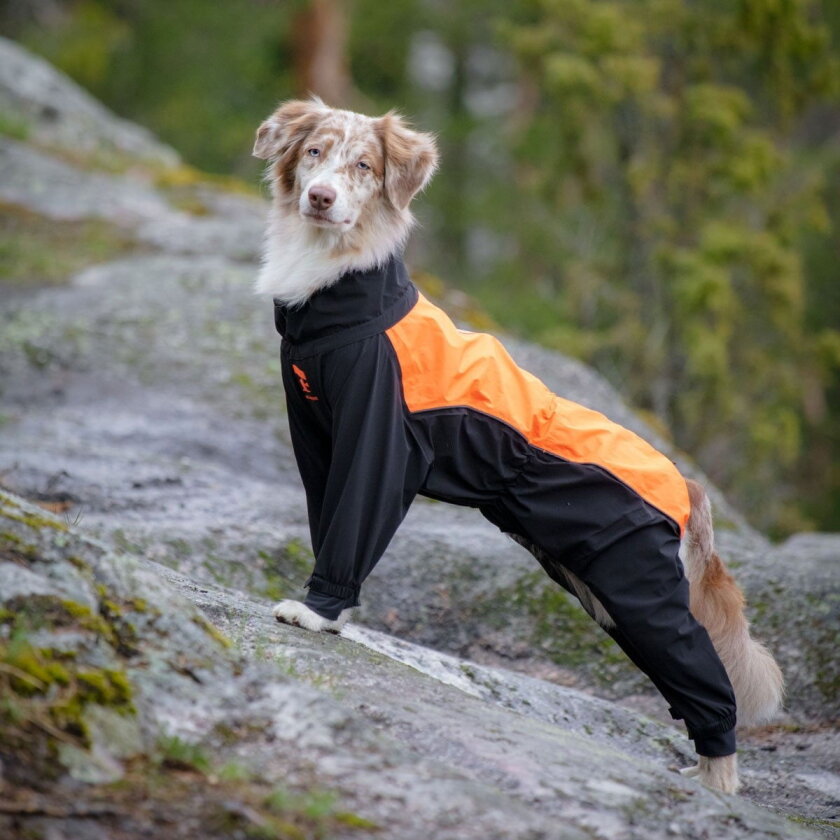 Helsingborg Hundoverall Refleks Svart & Orange
