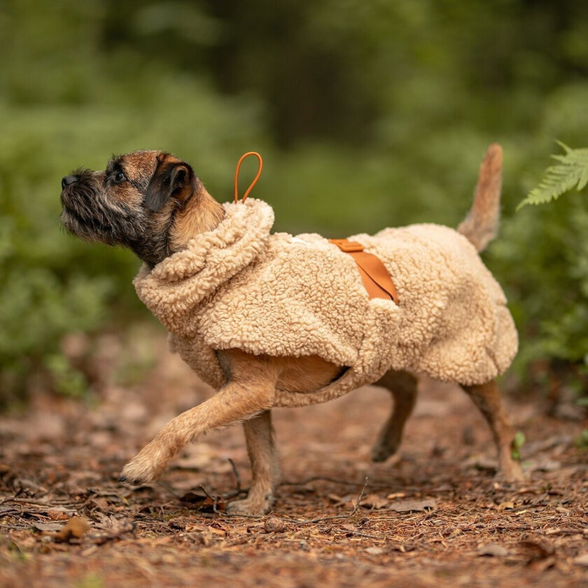 Sherpa Hundegenser Beige