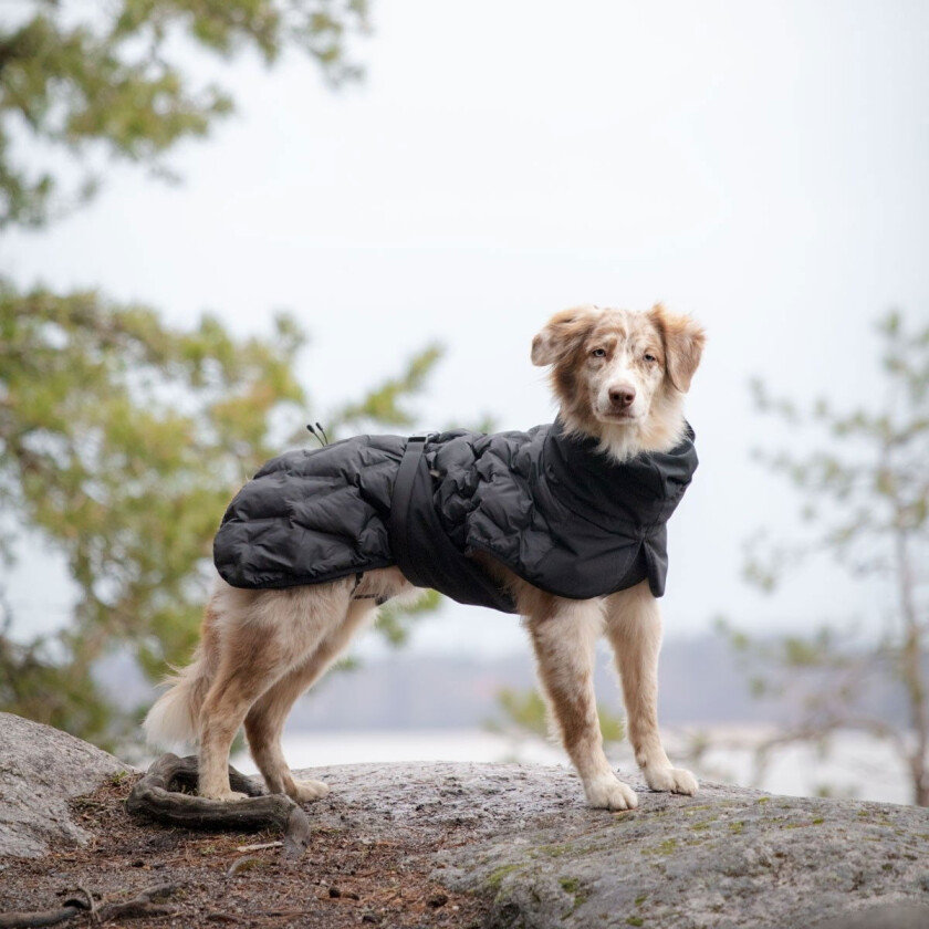 Haga Parka Svart