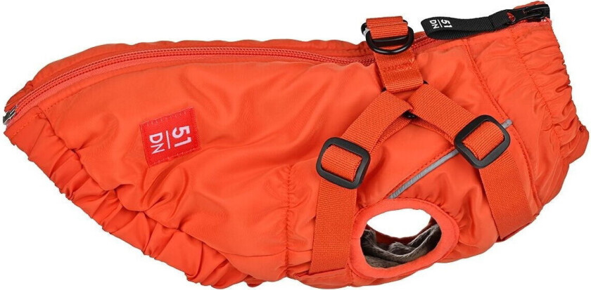 Adventure Kombinert Hundejakke och Hundesele Oransje
