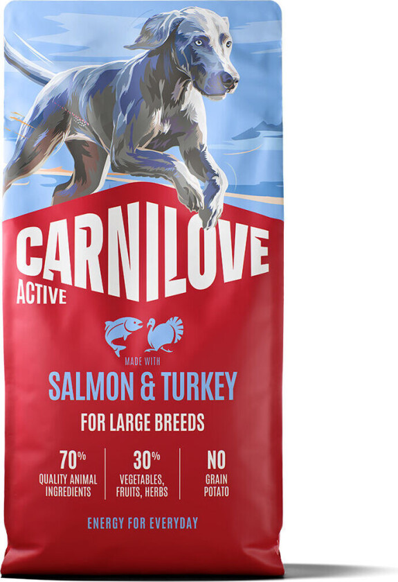 Dog Adult Active Large Breed Salmon & Turkey Tørrfôr til Hund