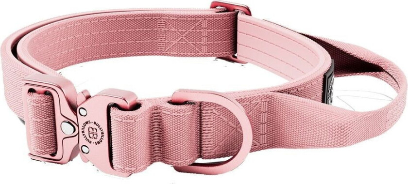 Combat Hundehalsbånd med Håndtak Rosa XS 2,5 cm