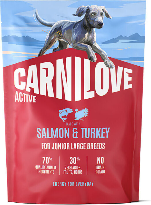 Dog Junior Active Large Breeds Salmon & Turkey Tørrfôr til Hund