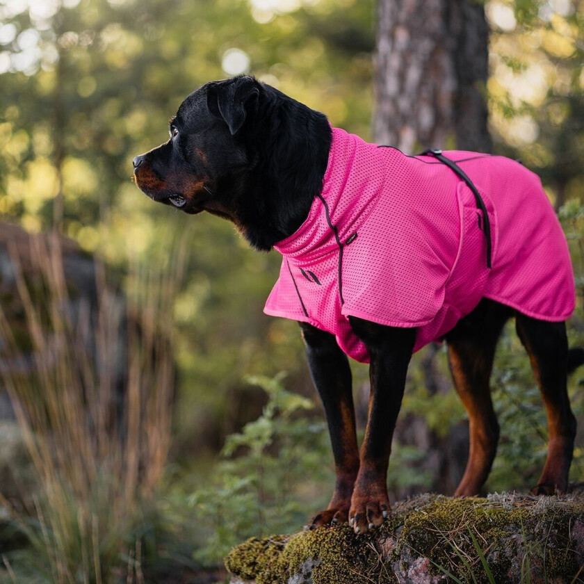 Hundenettingdekken Limited Edition Rosa