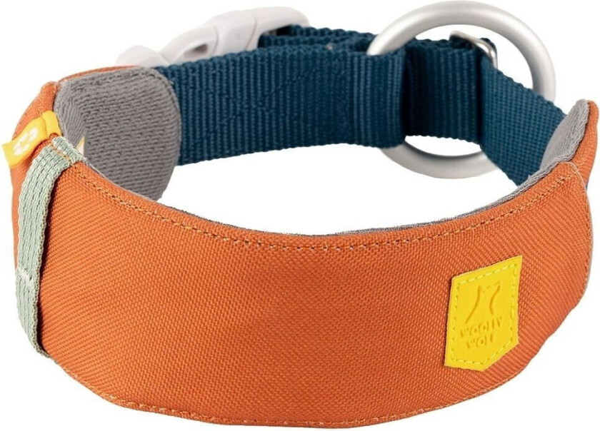 Alpha 360 Hundehalsbånd Terracotta/Mörkblå