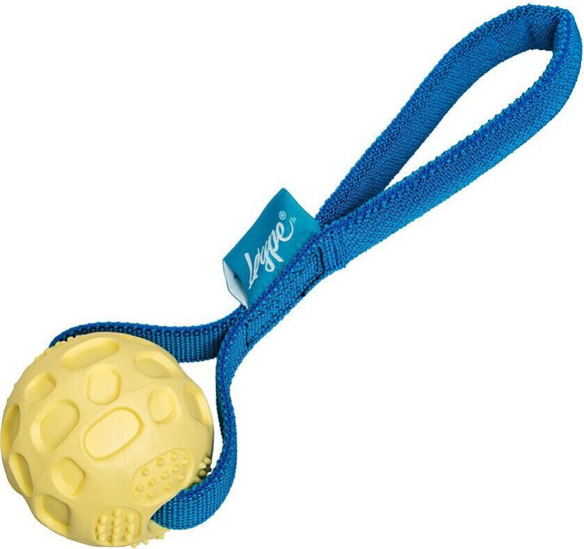 Springster Draleke med Ball