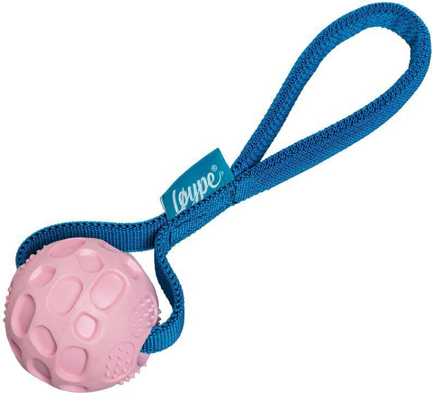 Springster Draleke med Ball