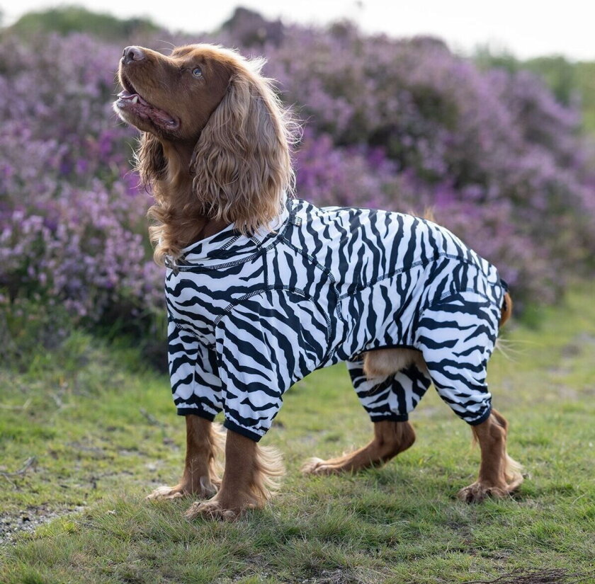 Zebra Hundeoverall