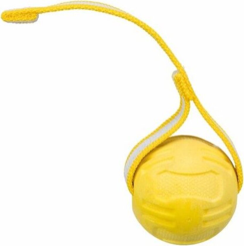 Ball on a Strap for Dogs ø 6 cm/20 cm assorted colours