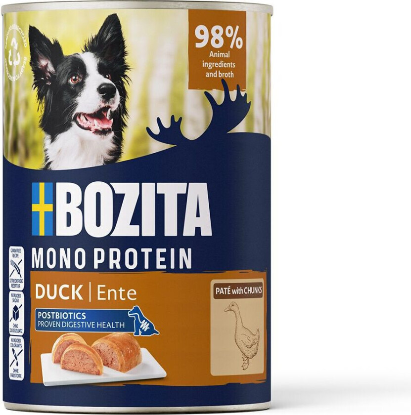 Paté Våtfoder till Hund av And 400 g