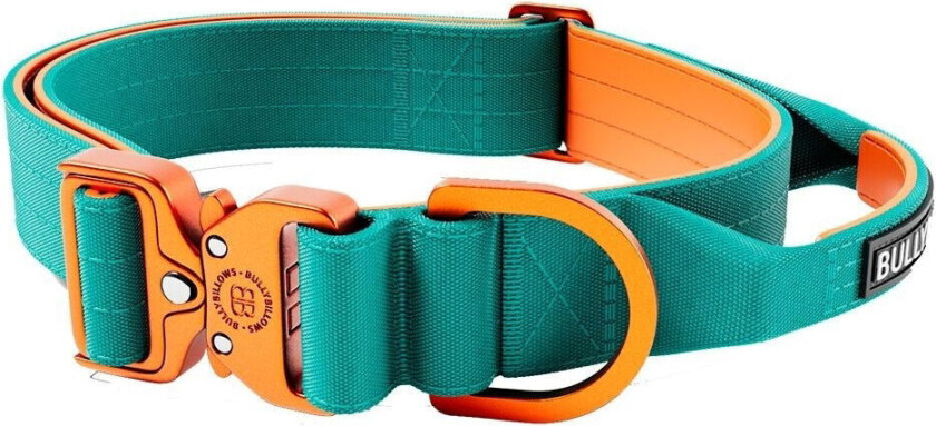 BullyBillow Combat Hundehalsbånd med Håndtak Turkis & Oransje 4 cm