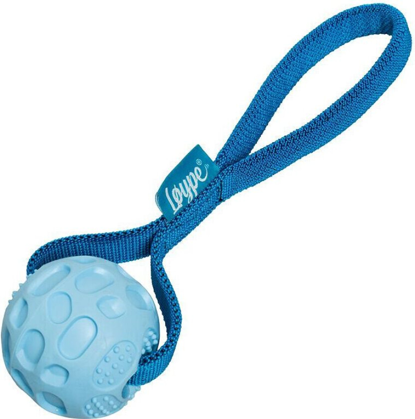 Springster Draleke med Ball