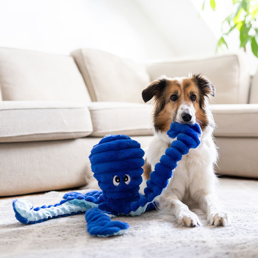 Kosedyr til Hund Blekksprut 66 cm
